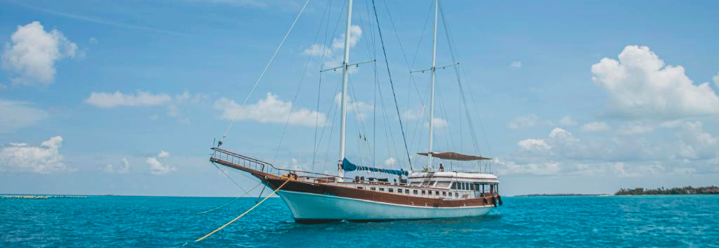 Safari Ship